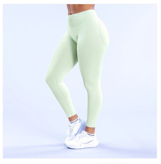 Aegis Legging