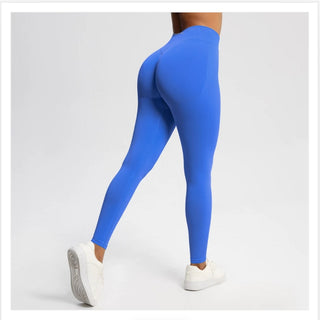 Aegis Legging